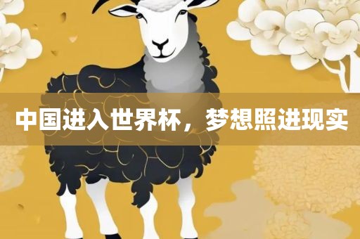 中国进入世界杯，梦想照进现实