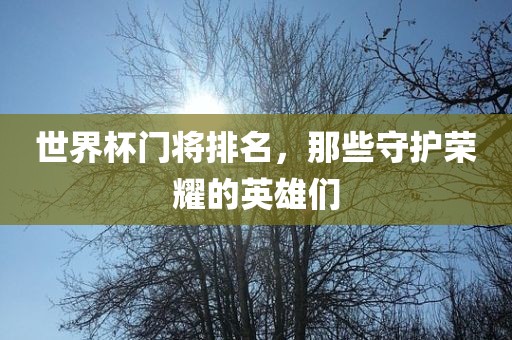 世界杯门将排名，那些守护荣耀的英雄们