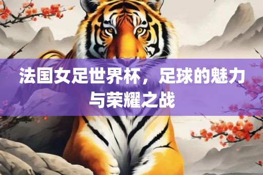 法国女足世界杯，足球的魅力与荣耀之战