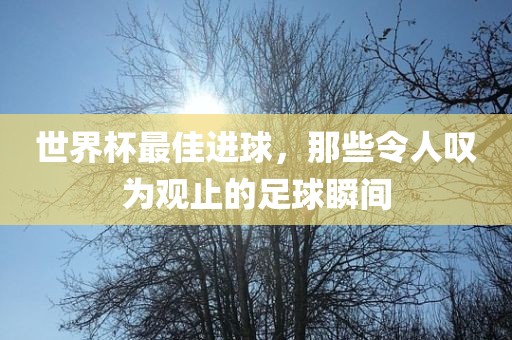 世界杯最佳进球，那些令人叹为观止的足球瞬间