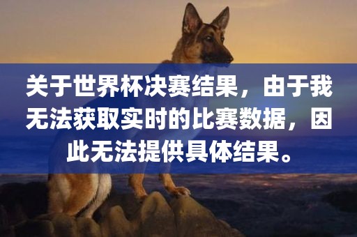 关于世界杯决赛结果，由于我无法获取实时的比赛数据，漯河市盈旭机械设备有限公司因此无法提供具体结果。