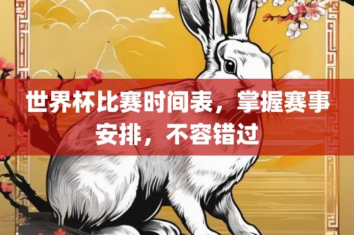 世界杯比赛时间表，掌握赛事安排，不容错过