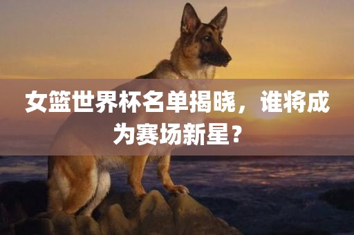 女篮世界杯名单揭晓，谁将成为赛漯河市盈旭机械设备有限公司场新星？