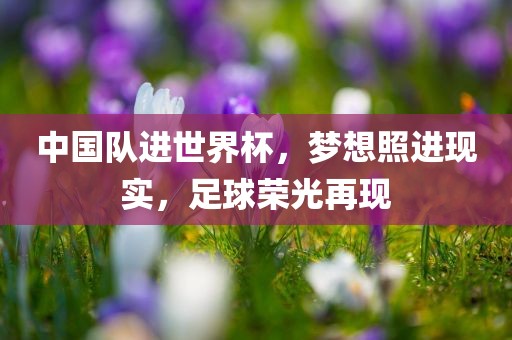 中国队进世界杯
