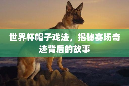 世界杯帽子戏法，揭秘赛场奇迹背后的故事