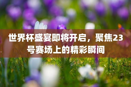 世界杯盛宴即将开启，聚焦23号赛场上的精彩瞬间