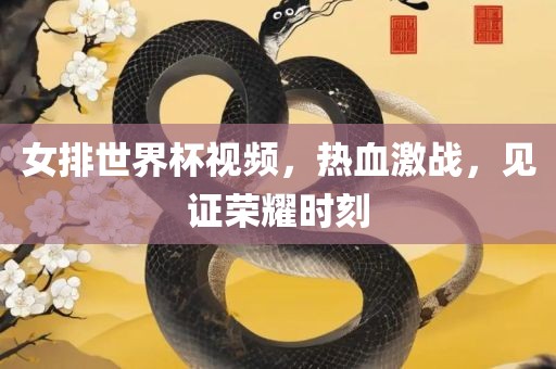 女排世界杯视频，热血激战，见证荣耀时刻
