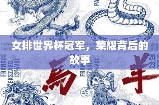 女排世界杯冠军，荣耀背后的故事