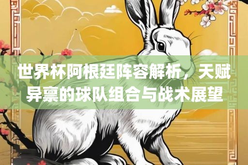 世界杯阿根廷阵容解析，天赋异禀的球队组合与战术展望