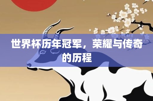 世界杯历年冠军，荣耀与传奇的历程