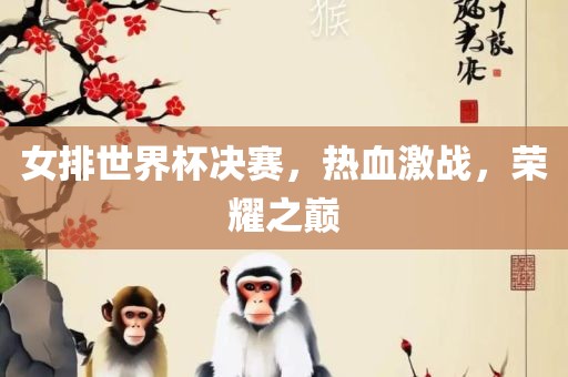 女排世界杯决赛，热血激战，荣耀之巅