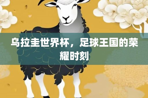 乌拉圭世界杯，足球王国的荣耀时刻