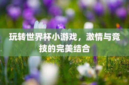 玩转世界杯小游戏，激情与竞技的完美结合