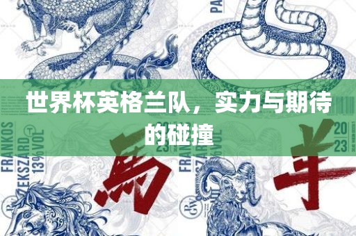 世界杯英格兰队，实力与期待的碰撞