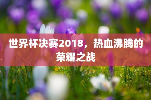 世界杯决赛2018，热血沸腾的荣耀之战漯河市盈旭机械设备有限公司