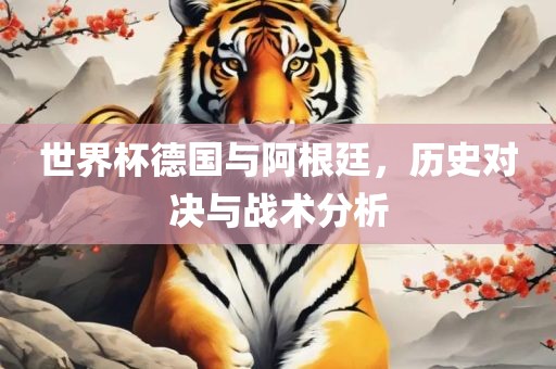 世界杯德国与阿根廷，历史对决与战术分析