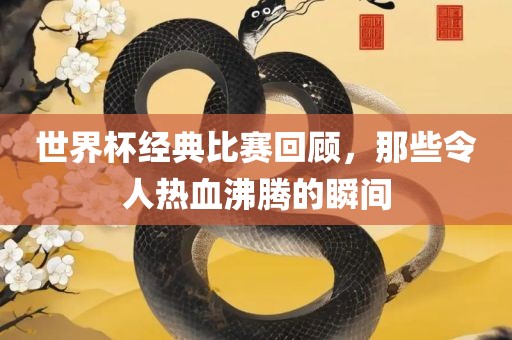 世界杯经典比赛回顾