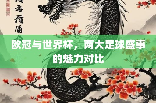 欧冠与世界杯，两大足球盛事的魅力对比漯河市盈旭机械设备有限公司