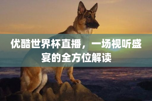 优酷世界杯直播，一场视听盛宴的全方位解读
