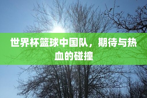 世界杯篮球中国队，期待与热血的碰撞