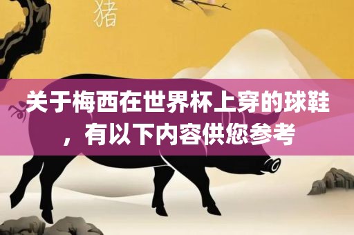 关于梅西在世界杯上穿的球鞋，有以下内容供您参考