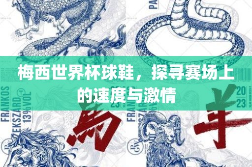 梅西世界杯球鞋，探寻赛场上的速度与激情