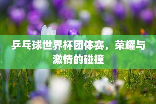 乒乓球世界杯团体赛，荣耀与激情的碰撞