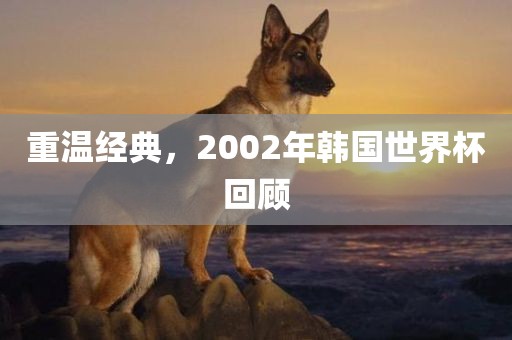 经典回顾 第4页