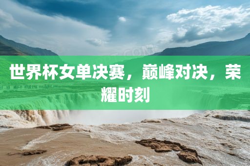 世界杯女单决赛，巅峰对决，荣耀时刻