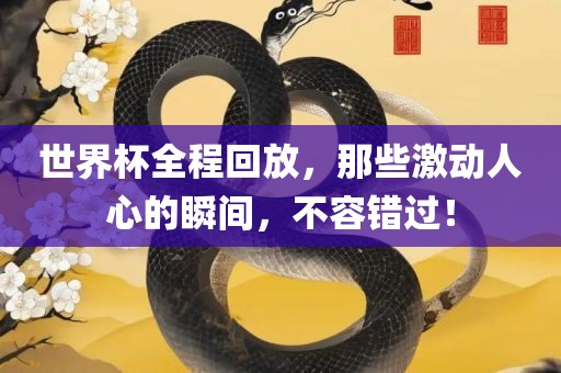 世界杯全程回放，那些激动人心的瞬间，不容错过！