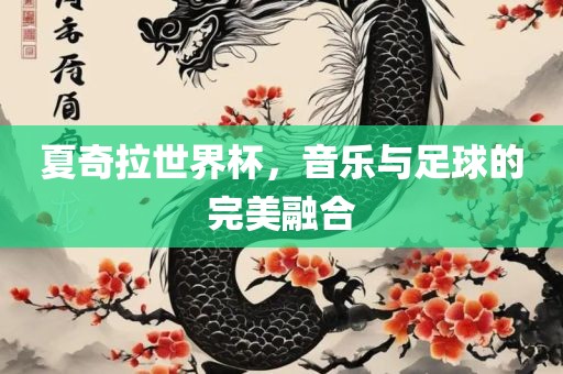 夏奇拉世界杯，音乐与足球的完美融合漯河市盈旭机械设备有限公司