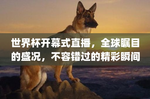 世界杯开幕式直播
