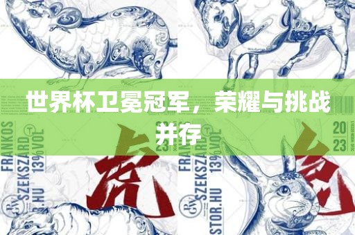 世界杯卫冕冠军，荣耀与挑战并存漯河市盈旭机械设备有限公司