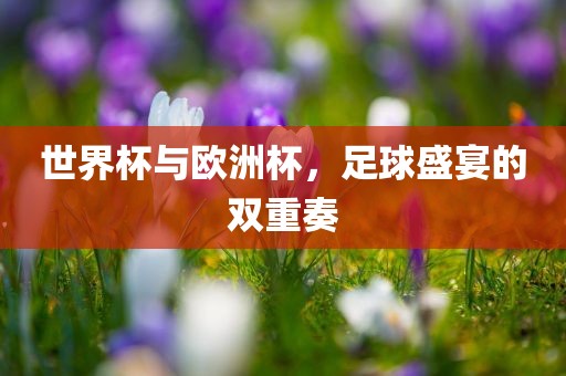 世界杯与欧洲杯，足球盛宴的双重奏