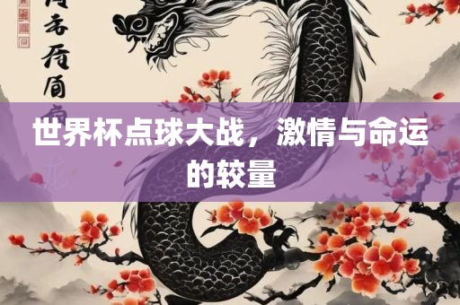 世界杯点球大战，激情与命运的较量