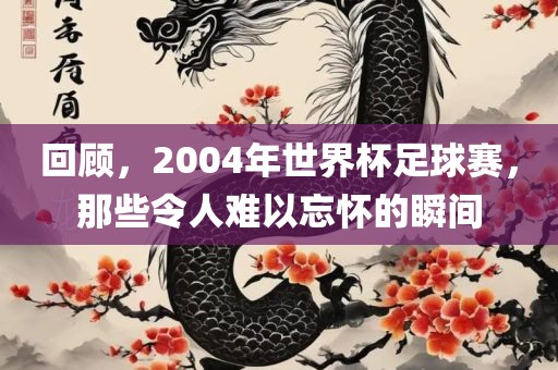 回顾，2004年世界杯足球赛，那些令人难以忘怀的瞬间