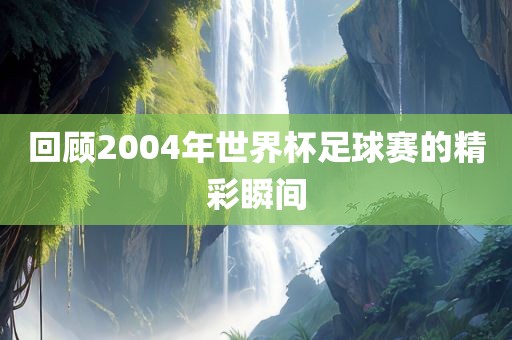 回顾2004年世界杯足球赛的精彩瞬间