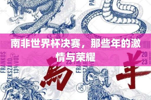 南非世界杯决赛，那些年的激情与荣耀漯河市盈旭机械设备有限公司