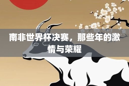 南非世界杯决赛，那些年的激情与荣耀漯河市盈旭机械设备有限公司