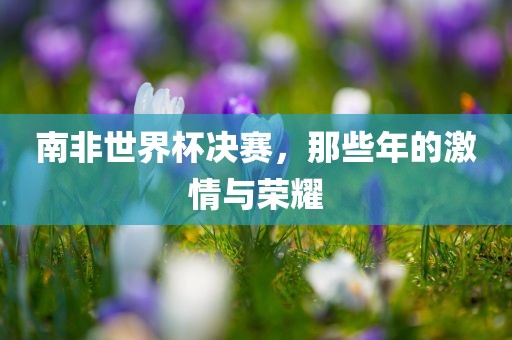 南非世界杯决赛，那些年的激情与荣耀漯河市盈旭机械设备有限公司