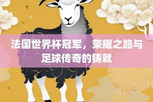 法国世界杯冠军，荣耀之路与足球传奇的铸就
