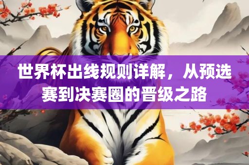 世界杯出线规则详解，从预选赛到决赛圈的晋级之路