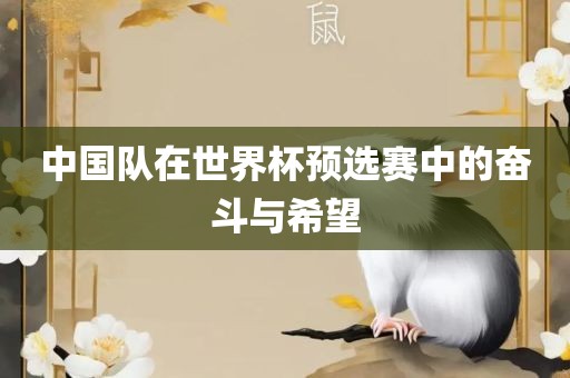 中国队 第2页