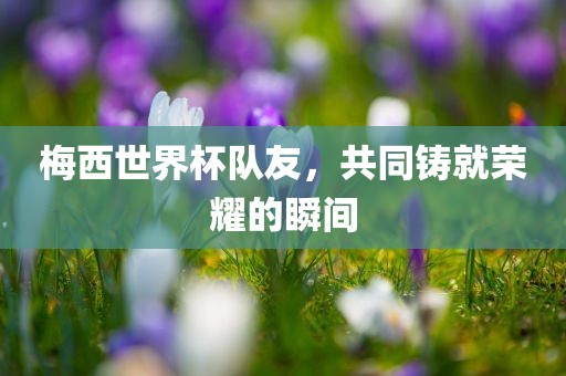 梅西世界杯队友，共同铸就荣耀的瞬间
