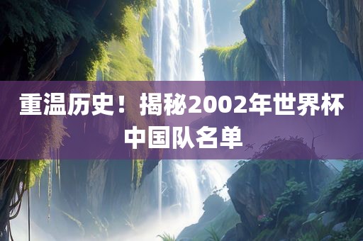 重温历史！揭秘2002年世界杯中国队名单漯河市盈旭机械设备有限公司