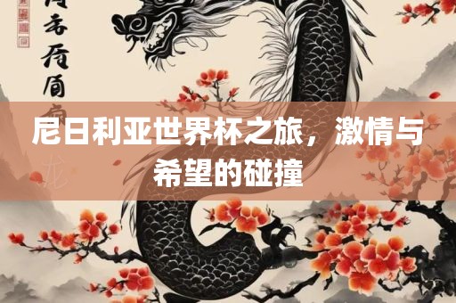 尼日利亚世界杯之旅，激情与希望的碰撞