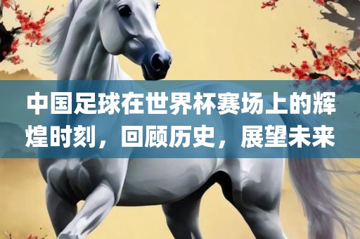 中国足球在世界杯赛场上的辉煌时刻，回顾历史，展望未来