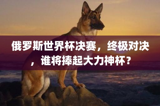 俄罗斯世界杯决赛，终极对决，谁将捧起大力神杯？