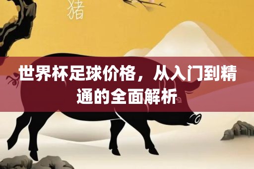 世界杯足球价格，从入门到精通的全面解析
