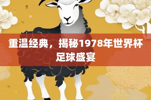 重温经典，揭秘1978年世界杯足球盛宴漯河市盈旭机械设备有限公司